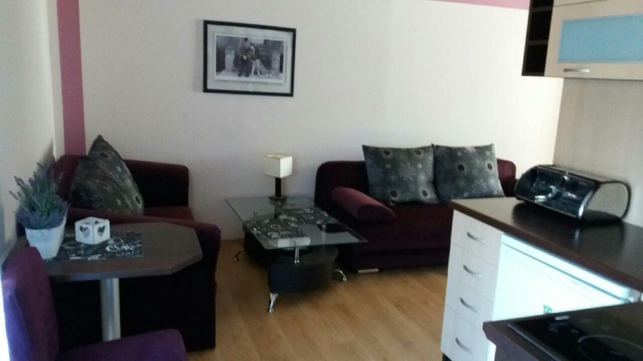 Pensjonat Plazowa 14 Ровы Экстерьер фото